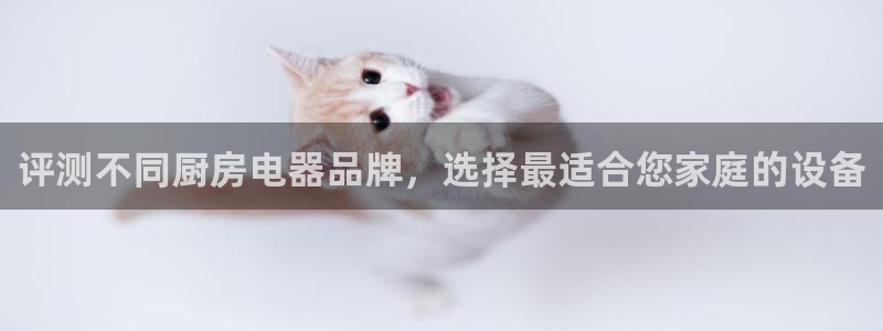 鸿运外贸直播平台