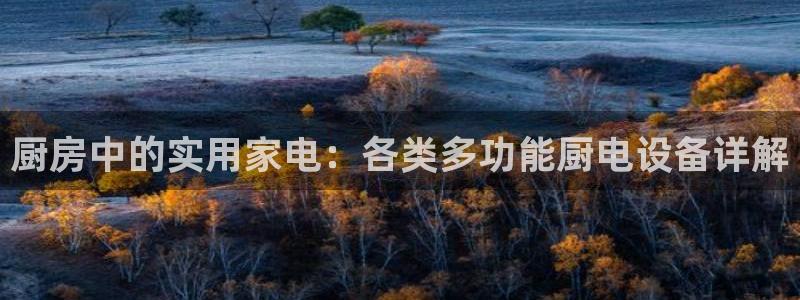 鸿运商滴管理平台