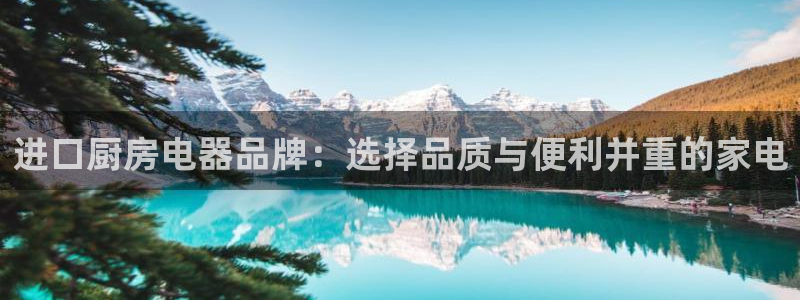鸿运链锁管理平台