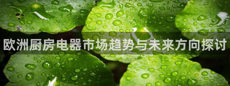 鸿运当头平台