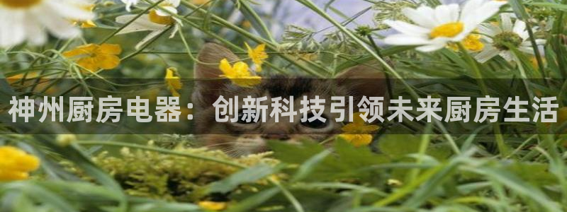 鸿运集团平台