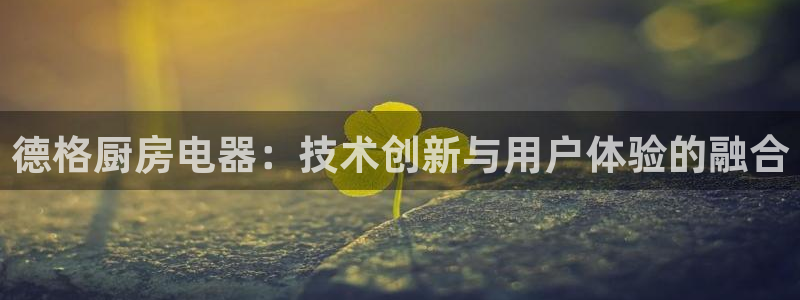 鸿运国际网址平台