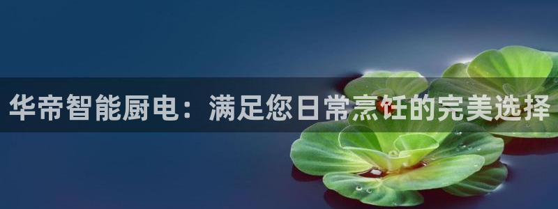 琥珀鸿运平台怎样赚钱的