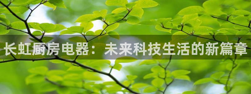 鸿运国际彩票平台