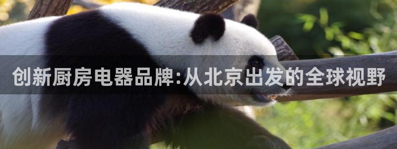 鸿运升降机械平台