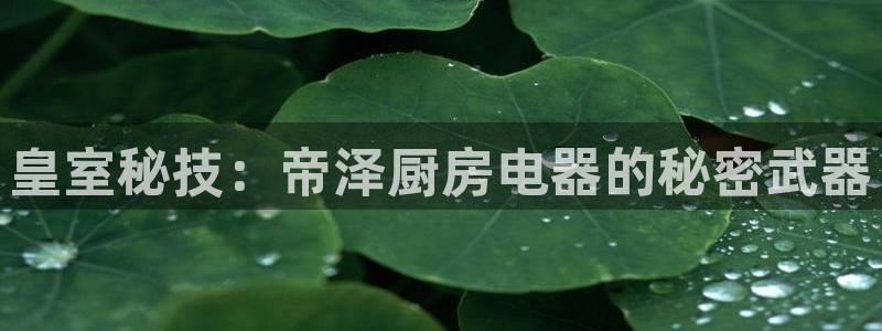 鸿运集团直播卖货平台