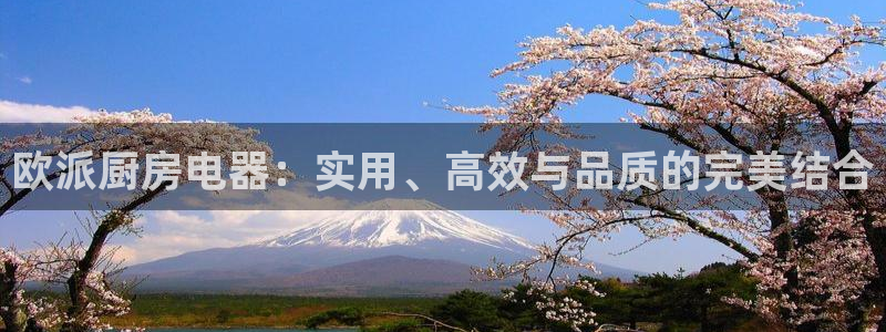 鸿运和拍拍卖平台