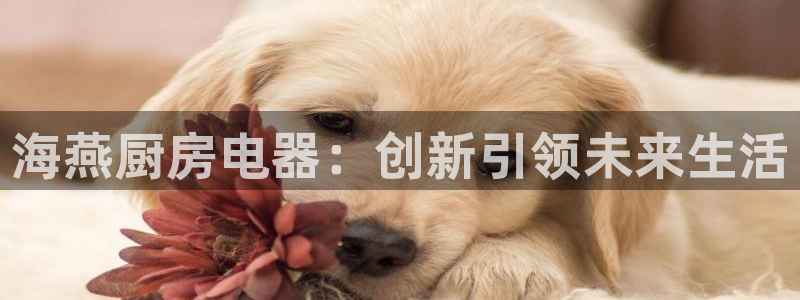 鸿运主播平台