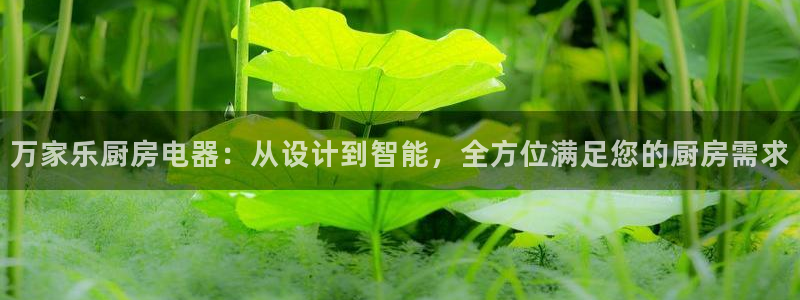 鸿运直播平台安卓版