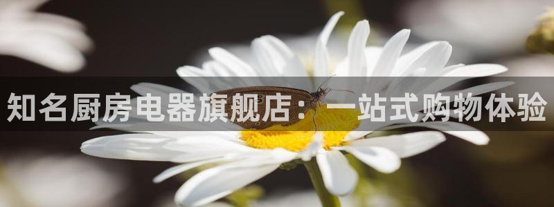 鸿运游戏直播游戏平台