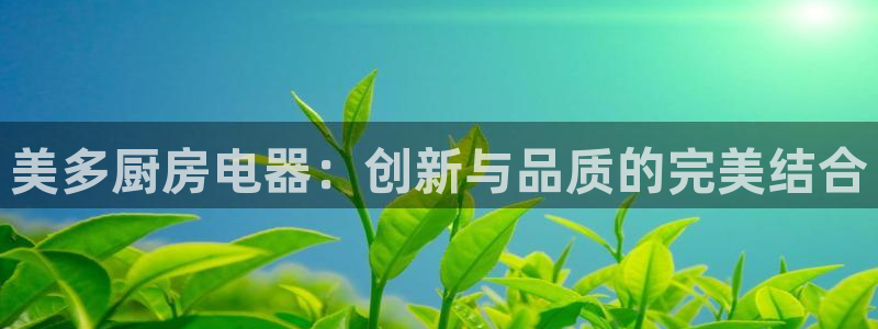 鸿运来补单平台