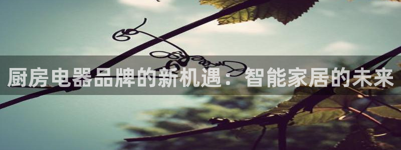 快手平台鸿运当头