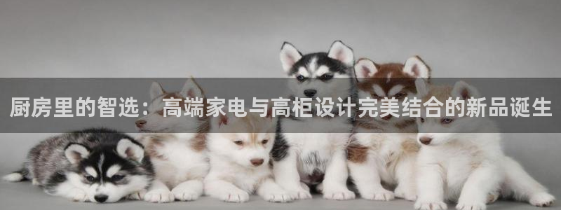 鸿运抽奖是什么平台