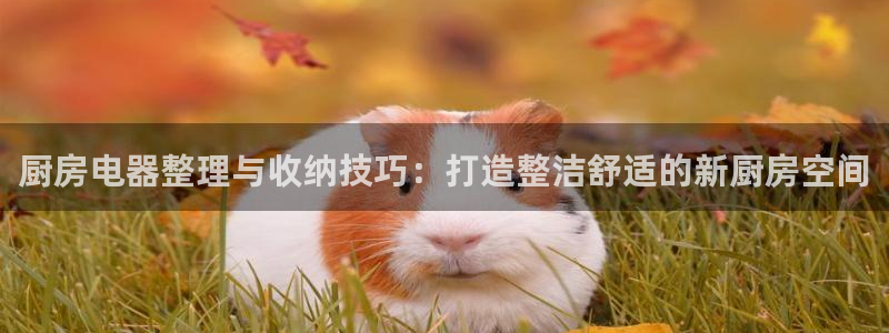 鸿运平台优惠