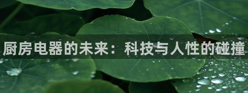 鸿运平台代还骗局