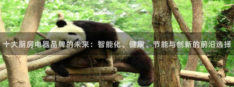 琥珀鸿运平台怎样赚钱的