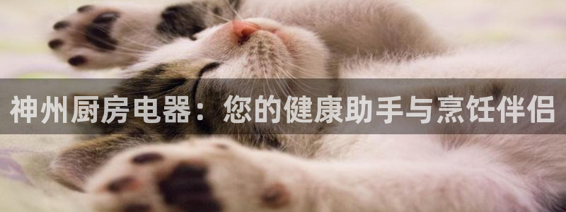 怎么进鸿运彩票平台