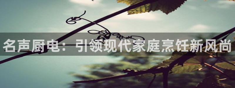 鸿运彩票网络平台官网