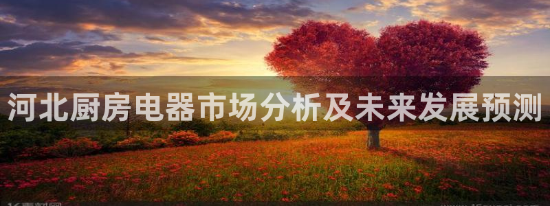 鸿运平台代还骗局