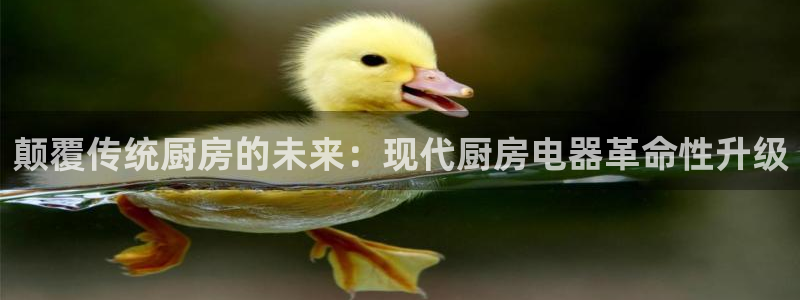 鸿运彩票网络平台