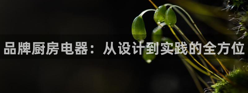 鸿运平台平台