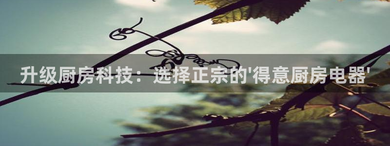 鸿运茶厂直播平台