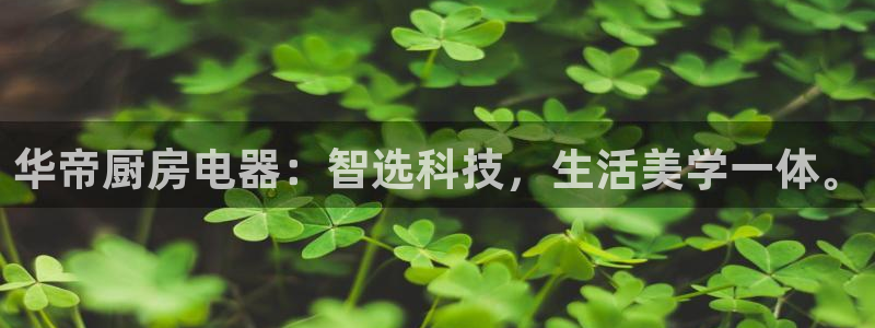 鸿运满堂平台