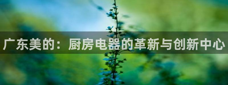 鸿运平台是大平台