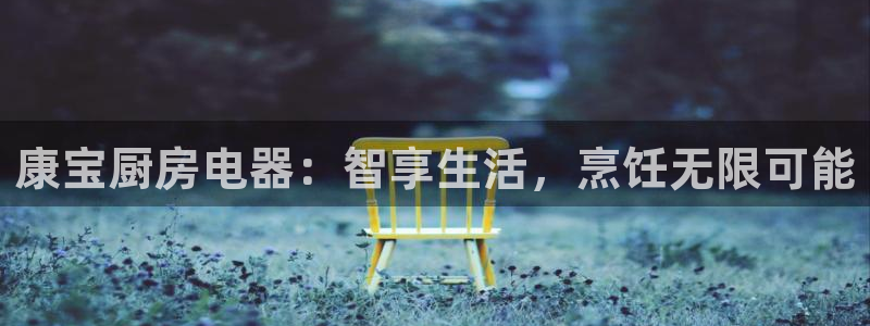 鸿运平台代理台
