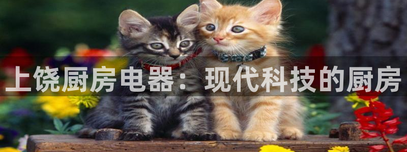 鸿运是什么平台