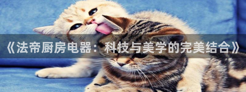 鸿运菜瞟平台