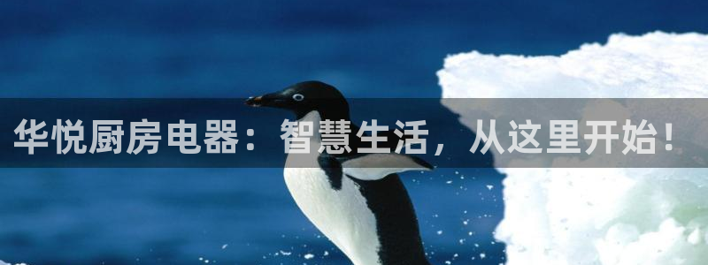 鸿运平台是骗子平台吗