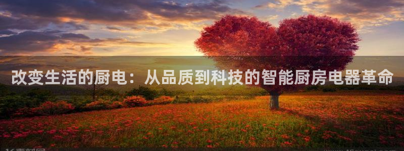鸿运是哪里平台