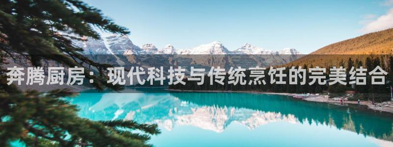 鸿运彩 票诈骗平台