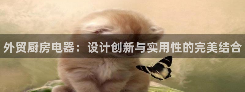 鸿运彩票平台官网