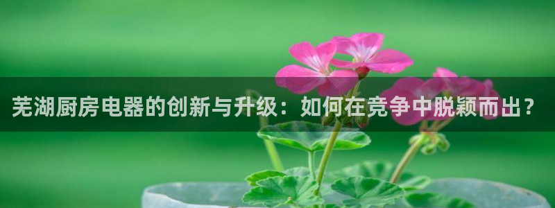 鸿运游戏直播游戏平台