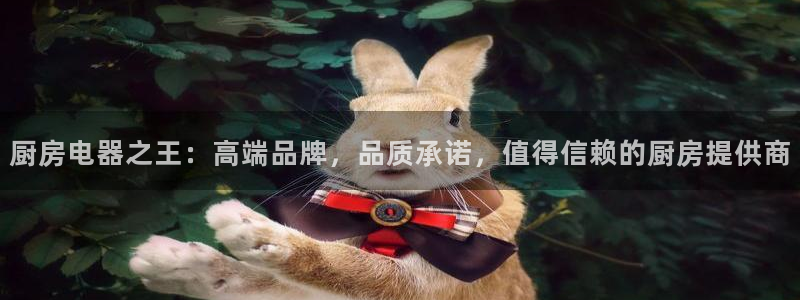 鸿运商滴管理平台