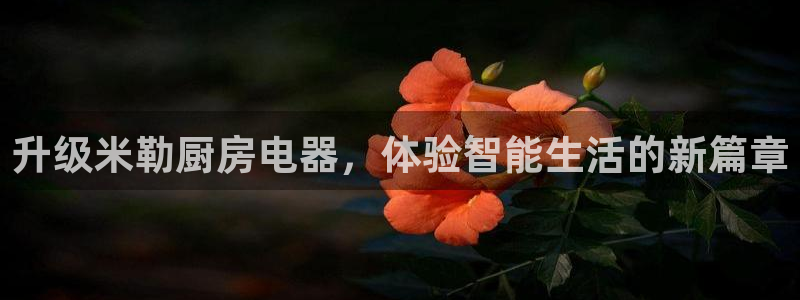 鸿运平台开户