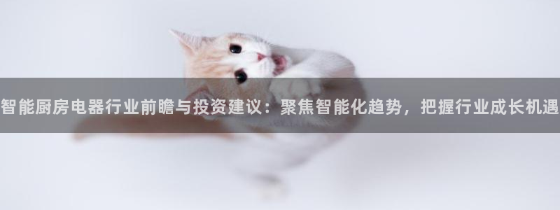 鸿运锦囊是什么平台