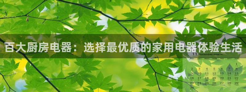东方阿保鸿运购物平台