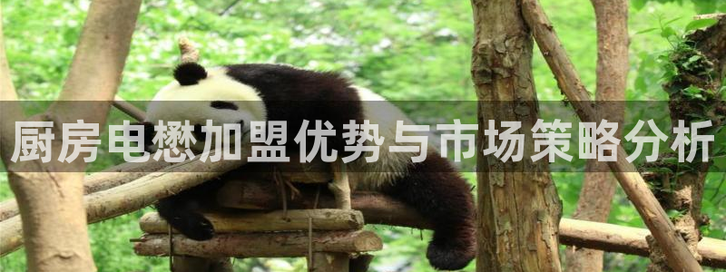鸿运国际时时彩平台