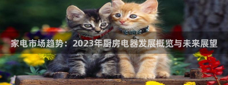 鸿运游戏直播平台