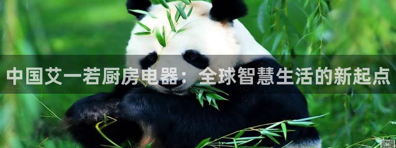 鸿运交易平台app