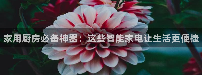 鸿运信投是平台