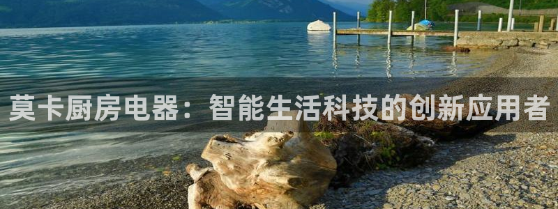 新鸿运股票平台