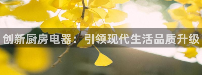 鸿运平台攻略