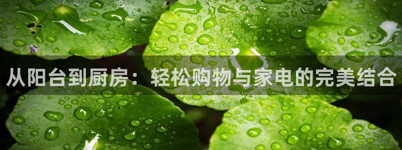 香港鸿运是什么平台