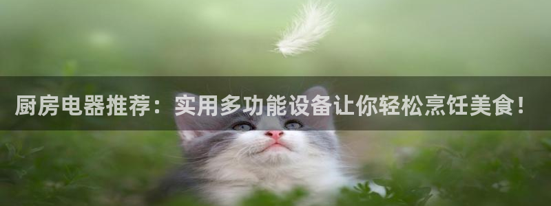 鸿运彩票平台怎样