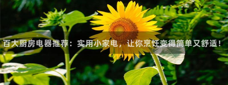 鸿运权威彩票平台
