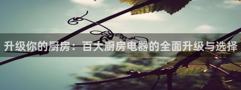 鸿运当头平台